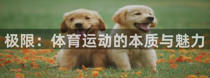 米兰体育官网下载是干嘛的公司:极限:体育运动的本质与魅力