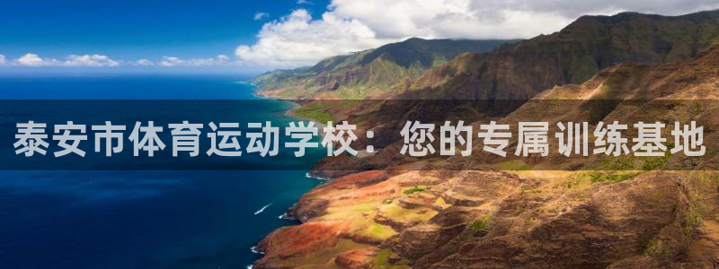 米兰体育官方正版app娱乐40996:泰安市体育运动学校:您