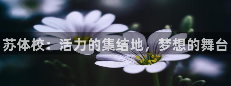 米兰体育官网下载招商电话地址是多少:苏体校:活力的集结地,梦