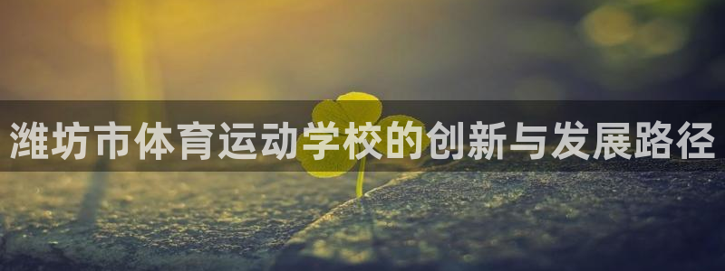 海南米兰体育官网下载:潍坊市体育运动学校的创新与发展路径