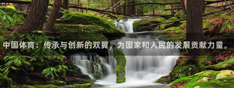 米兰体育官网下载平台注册流程图:中国体育:传承与创新的双翼,